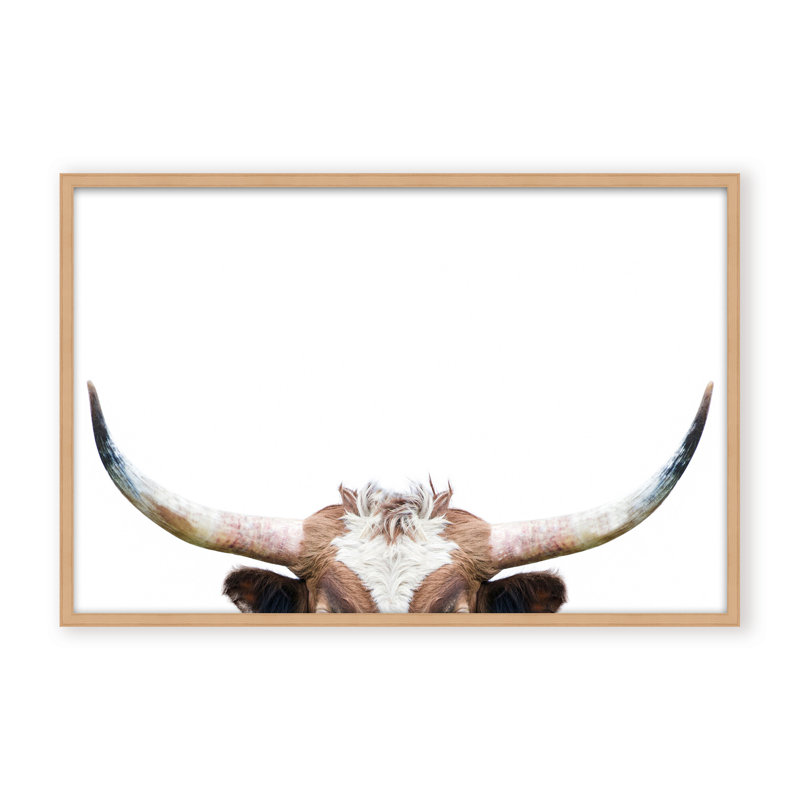 Nature Inspired Peeking Longhorn Cow by  - Picture Frame Photograph on Paper, 16" H x 24" W x 1.125" D, Framed Matted Print