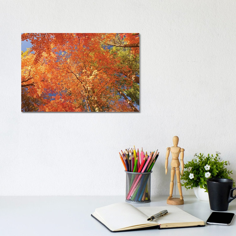Nature's Kaleidescope by Brian Wolf - Wrapped Canvas Print, 20.32 cm H x 30.48 cm W