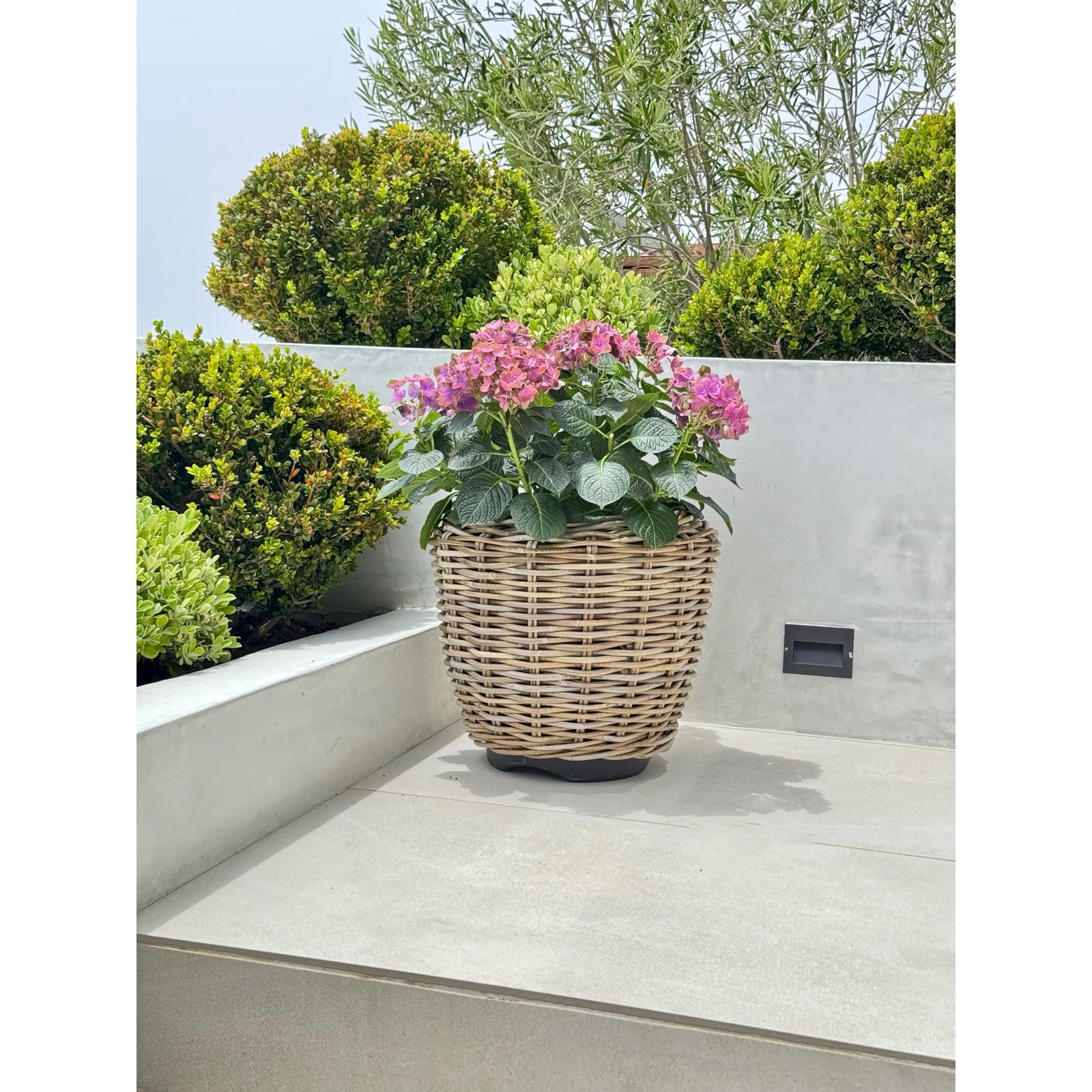 Ayriauna Handmade Urn Planter, 16" H x 17" W x 17" D