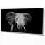 Artistique éléphant - impression sur toile tendue-29495662