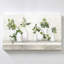 "Plant Life" par Julia Purinton, reproduction sur toile-1450739736