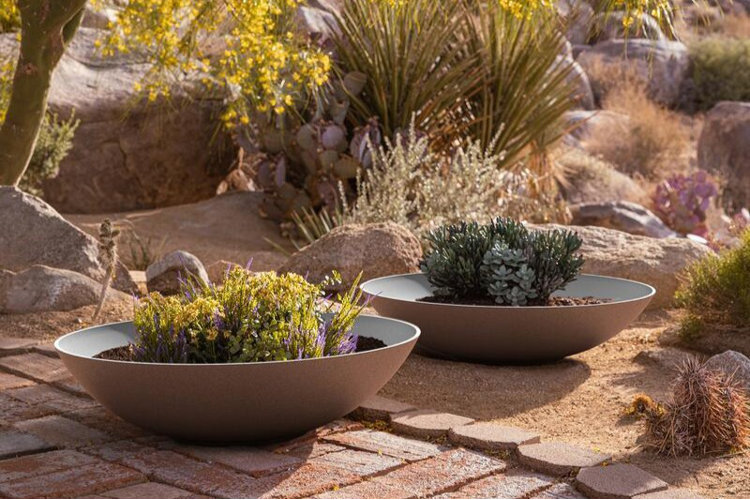 desert garden with shallow bowl planters filled with succulents, surrounded by rocks and sandy landscaping