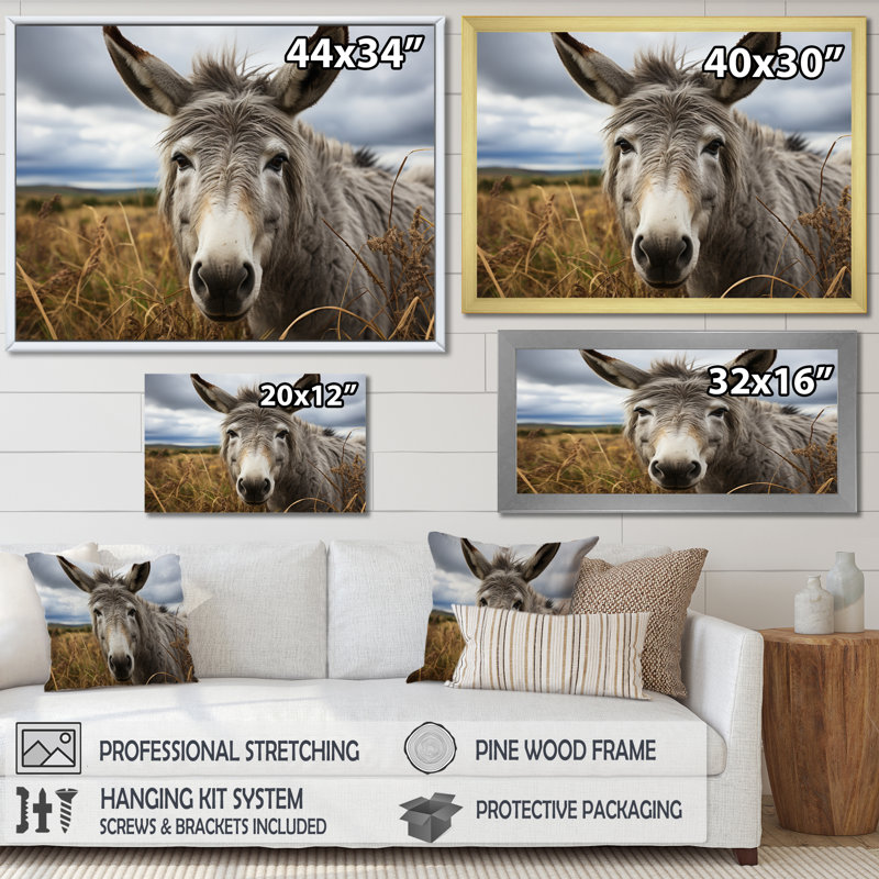 «Grey Donkey Gentle Companion», reproduction sur toile, H 24 po x l 32 po x P 1 po, Toile tendue
