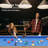 RayChee 48' Bumper Pool Table with Leg Levellers