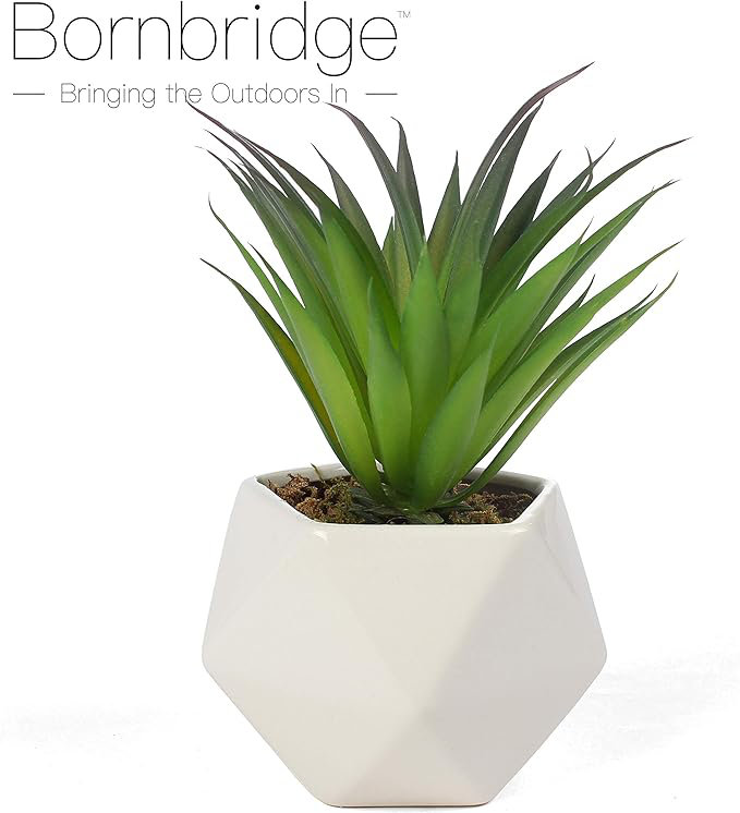 Primrue - Artificial Agave, Agave Stricta