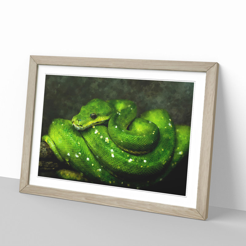 Green Python Snake - Framed Print, 48cm H x 65cm W x 2cm D, Oak Framed