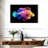 Brampt Rainbow Lionfish-107843135