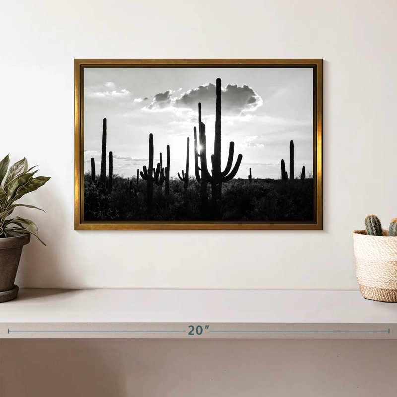 Arizona noir - Silhouettes de cactus, Cadre flottant doré, 13 po x 9 po
