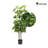 Artificial 47" Schefflera Indr&otdr