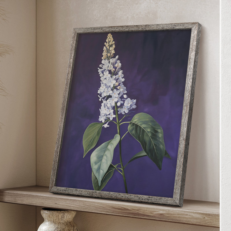 Reproduction encadrée FLORAL Series CCXLI - bois massif, H 30 po x l 24 po