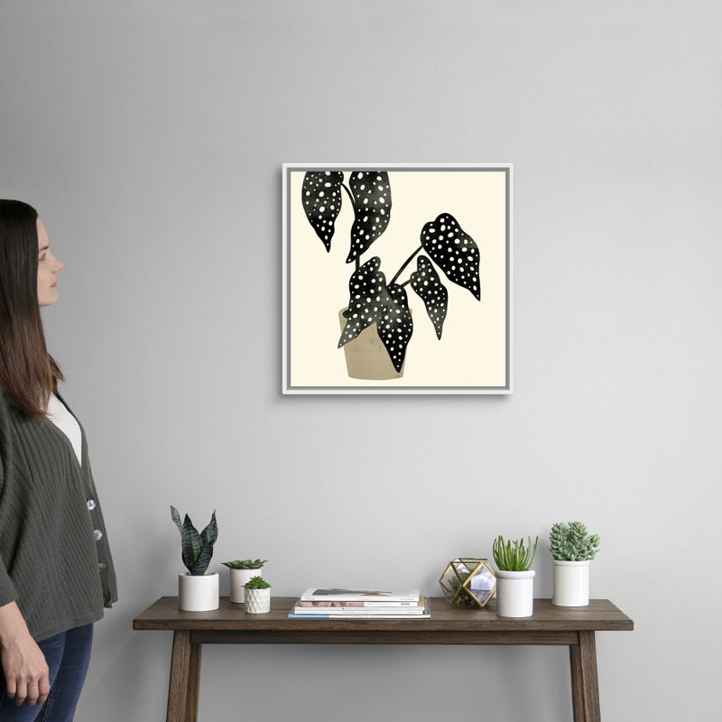 Art mural sur toile Plantling III, H 22 po x l 22 po, Toile avec cadre blanc