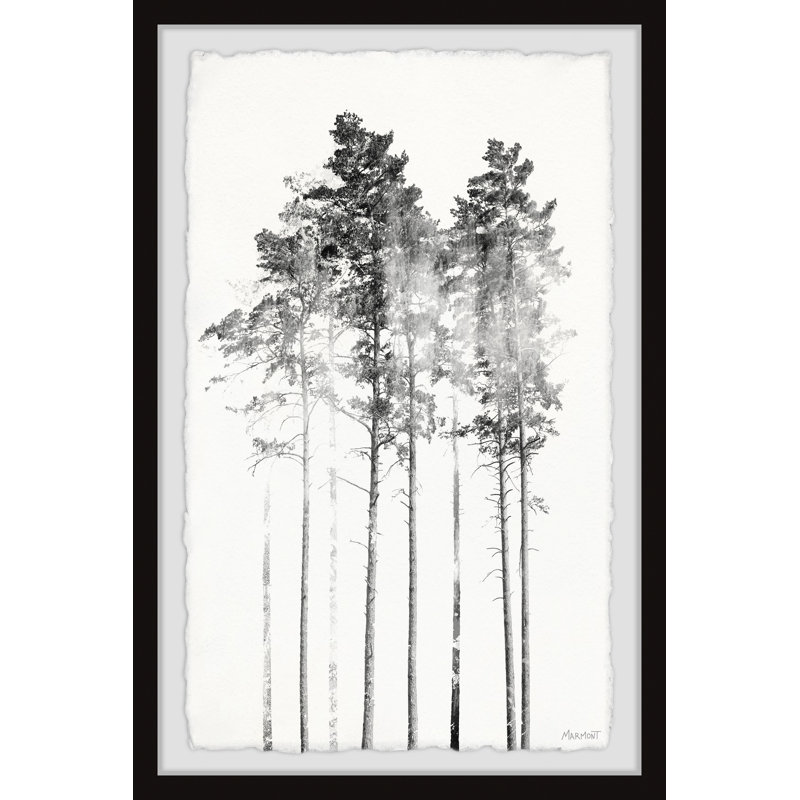 Misty Forest - Single Picture Frame Print, 91cm H x 61cm W x 3.81cm D