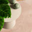 Rug "HUARTE" Short Pile Soft and Washable Blush-922405095