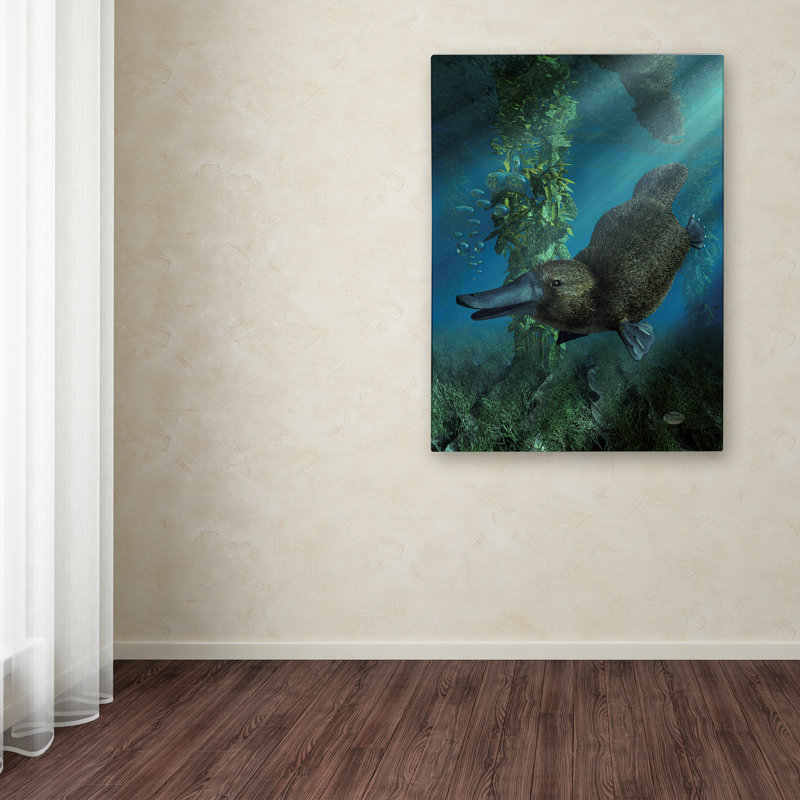 Platypus Underwater 24 x 32 Gallery-Wrapped Canvas Art