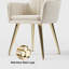 Dining Chairs Set of 2 Modern Beige Velvet Dining Chair with Cushioned