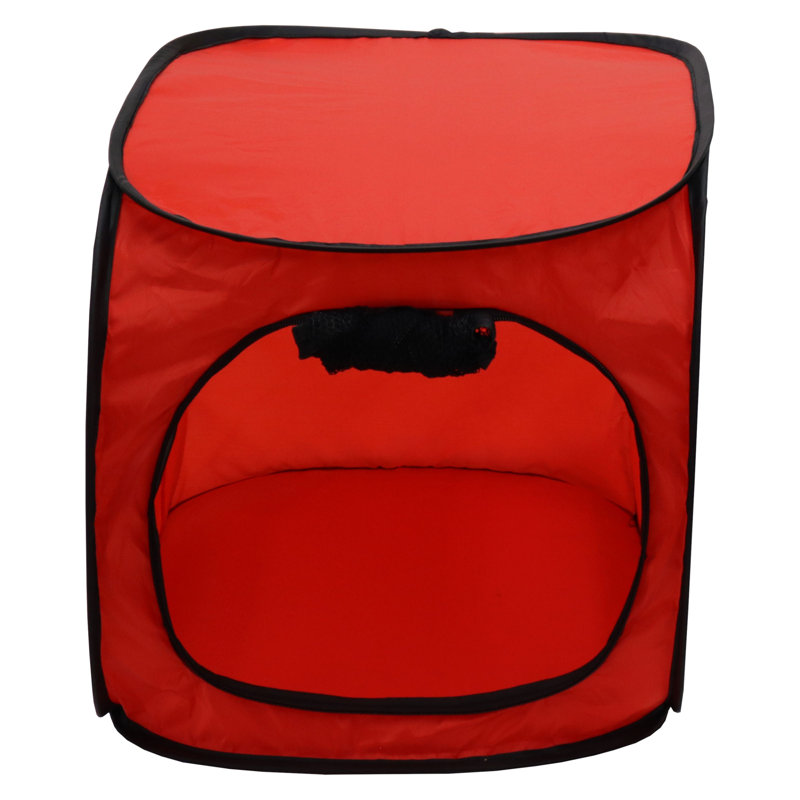 Pet Carrier