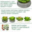 Jardinière avec succulent Echeveria artificielle-1784032527-1784039847