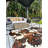 Robbs Cowhide Indoor Rug