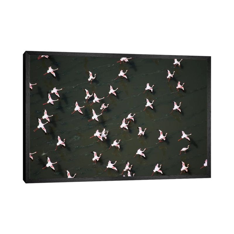 Lesser Flamingo Flock Taking Flight From The Surface Of A Lake, Kenya II by Tim Fitzharris - Gallery-Wrapped Canvas Giclée on Canvas