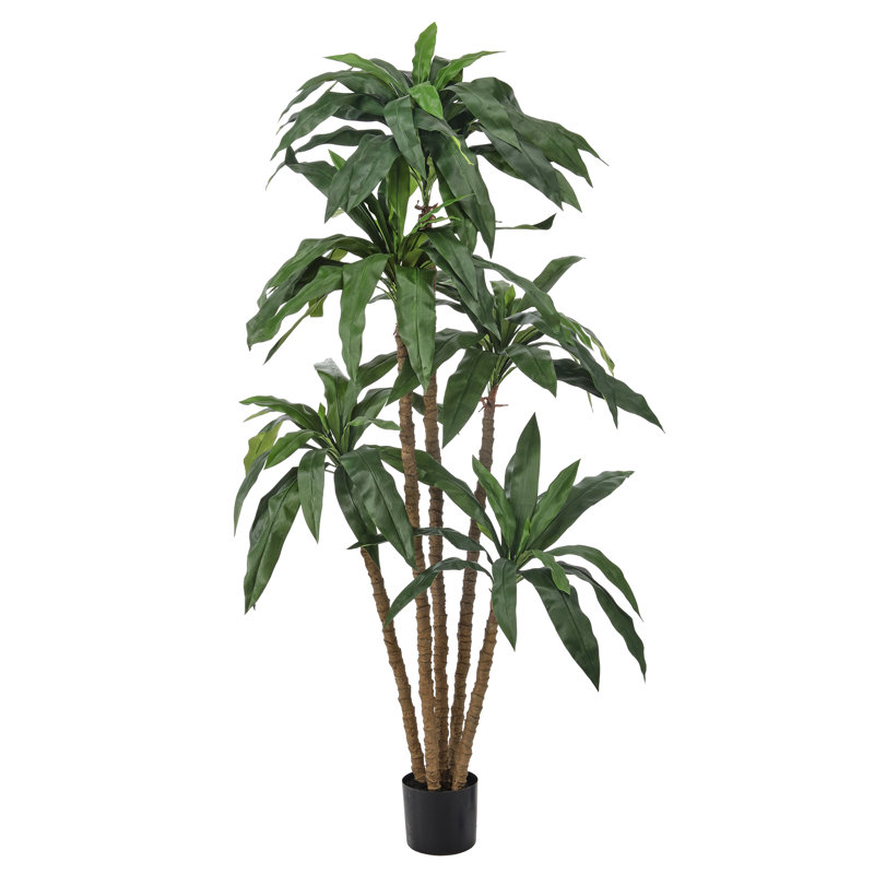 6' UV Potted Dracaena Marginata Tree