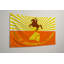 Jacksonville City Flag - Drapeau