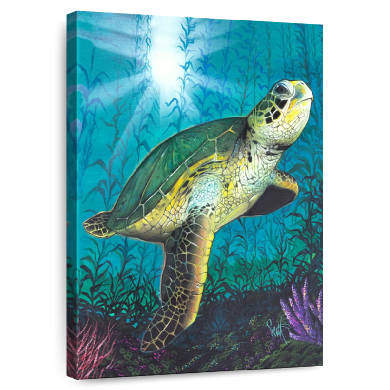 Brampt Turtle Underwater, 30" H x 20" W