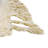 Annunciata Wool Southwestern Indoor Rug-1958542969