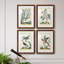 «Pastel Birds I», ensemble de 4 reproductions de cadres photo-1266957737-1266957731