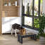 Station d'alimentation surélevée moderne en bois pour os pour chien Pawhut-124863449