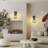 Quito Glass and Iron Armed Sconce