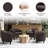 Seldon 28'' H Vegan Leather Barrel Chair-259411567