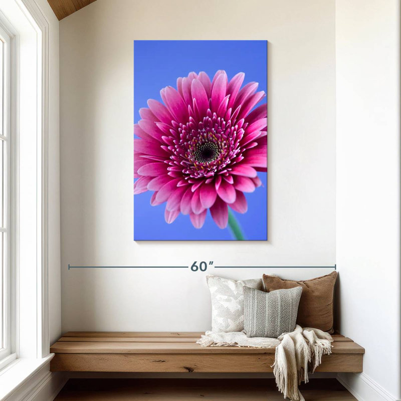 Rose Harnek Gerbera Daisy I, H 45 po x l 30 po