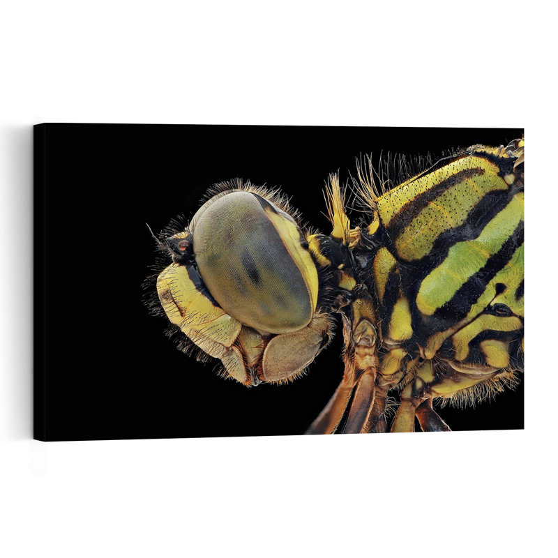 Vibrant Dragonfly Close-Up Vibrant Contemporary Dragonfly Nature Wildlife Wall Art Print by Edy Pamungkas - Print