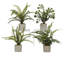 Faux Fern Plant in Solid Wood Pot