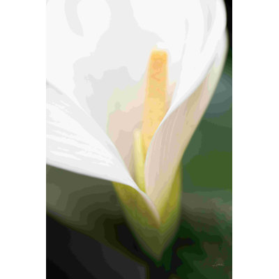 " Calla Lily " by Aledanda