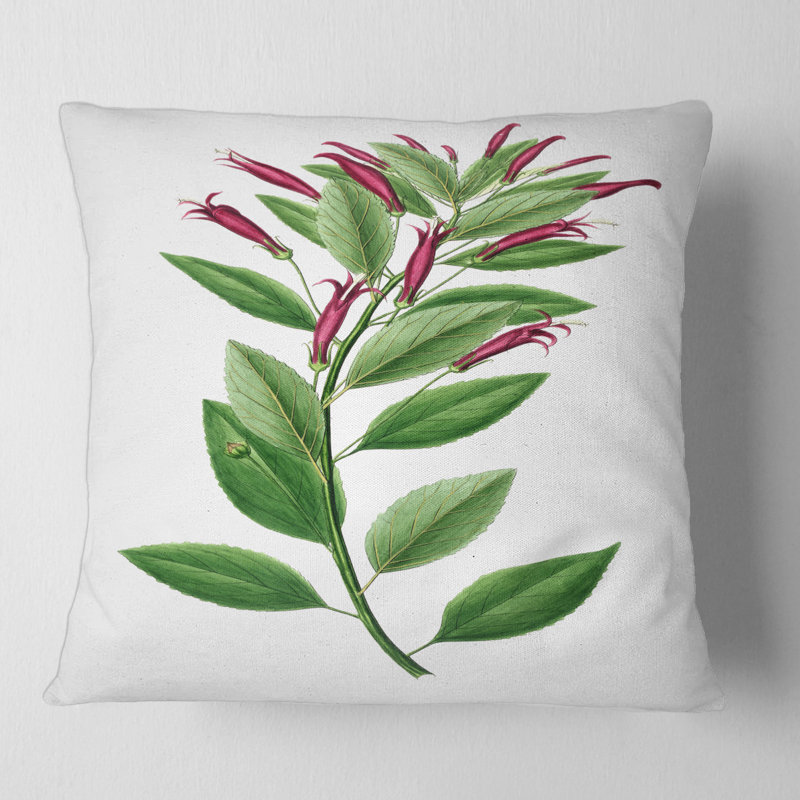 Vintage American Flora V - coussin traditionnel imprimé, 18" x 18"