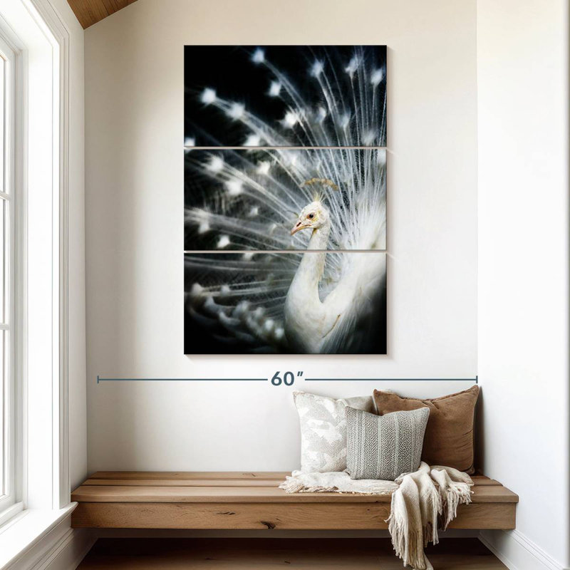 Brampt Rare White Peacock, 50" H x 32" W