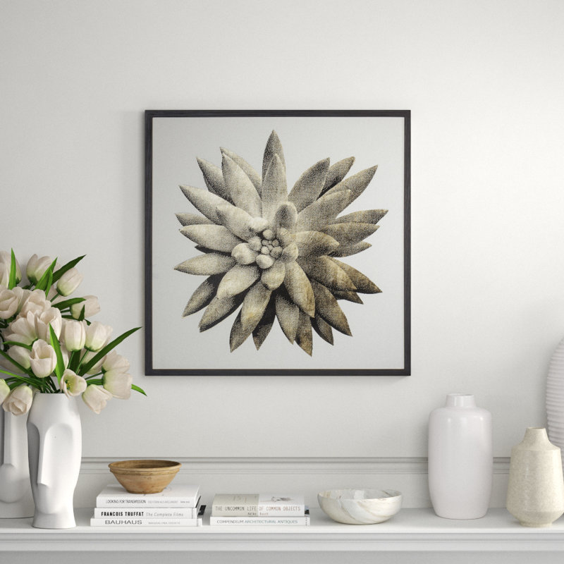Gold Succulent A Print