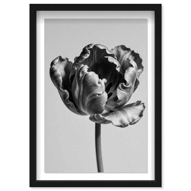 Take A Peek Print by Oliver Gal, 37.5"H x 55.5"W, Black Shadowbox