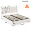 Denyel Upholstered Ottoman Storage Bed-1733768219