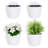 Nakke Self-Watering Plastic Indoor Wall Planter