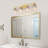 Hartshorn Vanity Light-868165074-871555253