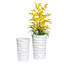 Mesut 2-Piece White Wavy Handmade Pot Planter Set