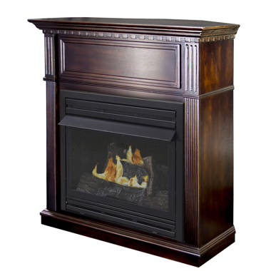 Ashley Hearth 38'' W Ventless Fireplace Insert u0026 Reviews | Wayfair