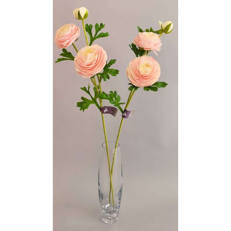 RENOUNCULE NAT.TCH FRESH-TOUCH X3 24", Pink