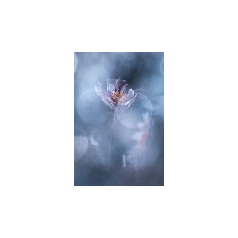 Wrapped Canvas Print, 76.2cm H x 50.8cm W