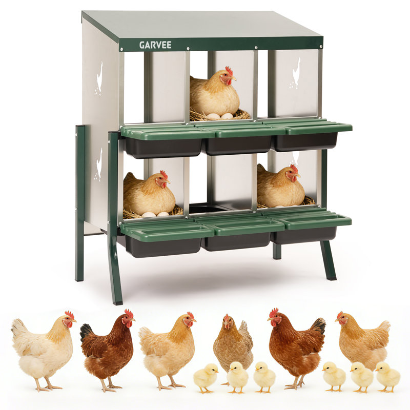 Boîte de nidification à 6 compartiments pour poulets en métal - robuste, ventilée, plateau et perchoir amovibles, facile à nettoyer, collection efficace d'œufs pour poules, canards, oies - vert avec motif de poulet - 6 compartiments