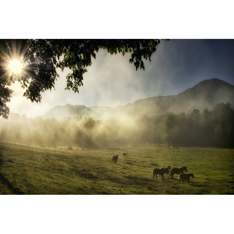 Running In The Mist by Danny Head - Wrapped Canvas Art Prints, 30cm H x 46cm W x 3.8cm D