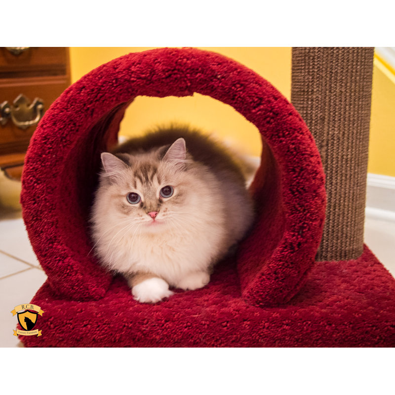 Atiyanna Scratching Post