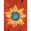 Fleur au milieu - imprimé floral mat pour décoration intérieure-1193607703-1193607697
